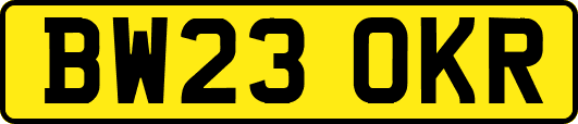 BW23OKR