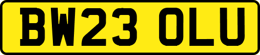 BW23OLU