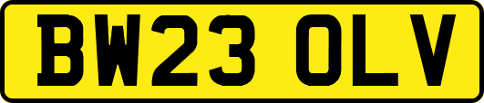 BW23OLV