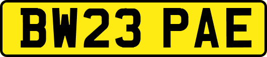 BW23PAE