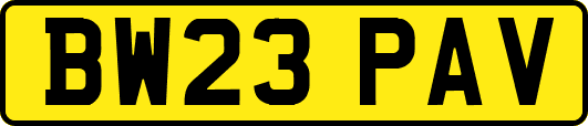 BW23PAV