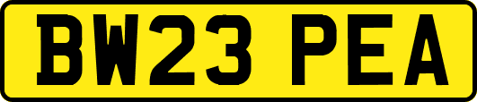 BW23PEA