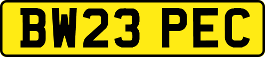 BW23PEC