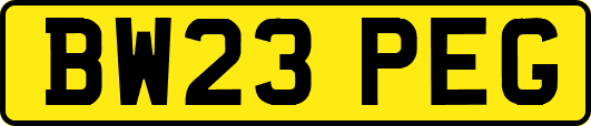 BW23PEG