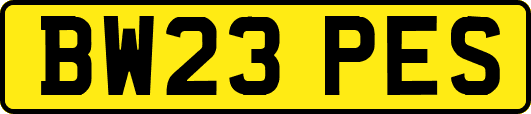 BW23PES