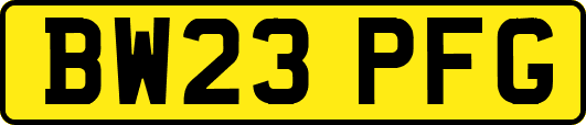 BW23PFG