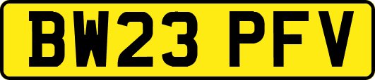 BW23PFV