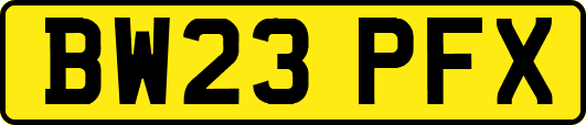 BW23PFX