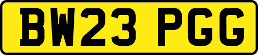 BW23PGG