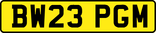 BW23PGM