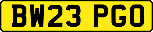 BW23PGO