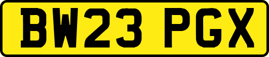 BW23PGX