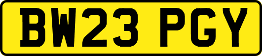 BW23PGY