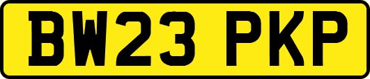 BW23PKP