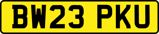 BW23PKU