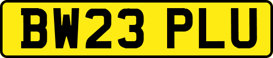BW23PLU