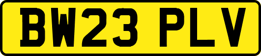BW23PLV