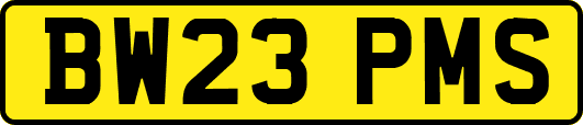 BW23PMS