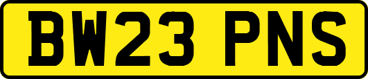 BW23PNS