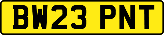 BW23PNT