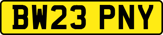 BW23PNY