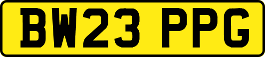BW23PPG