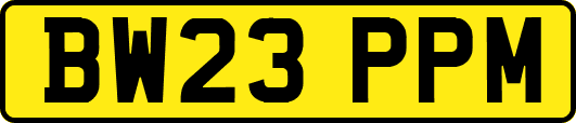 BW23PPM