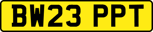 BW23PPT