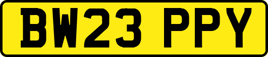 BW23PPY
