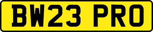 BW23PRO