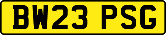 BW23PSG