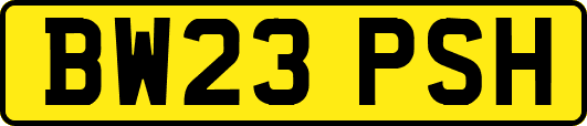 BW23PSH