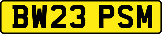 BW23PSM