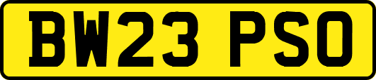 BW23PSO