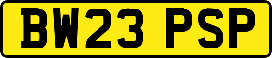 BW23PSP