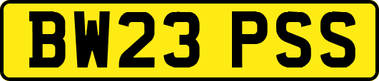 BW23PSS