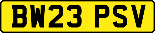 BW23PSV