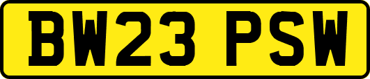 BW23PSW