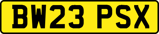 BW23PSX