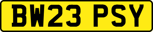 BW23PSY