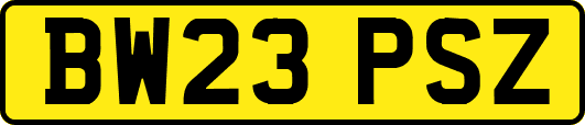 BW23PSZ
