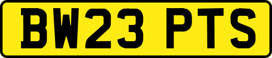 BW23PTS