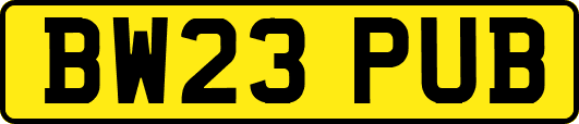 BW23PUB