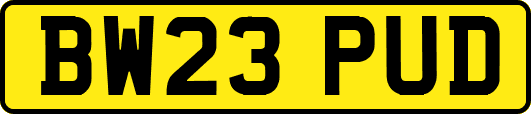 BW23PUD