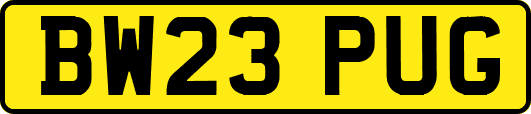 BW23PUG