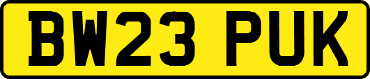 BW23PUK