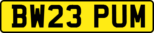 BW23PUM