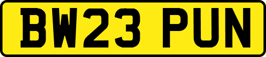 BW23PUN