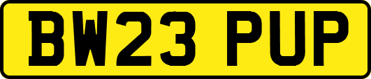 BW23PUP