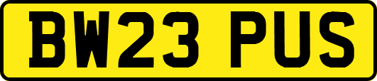 BW23PUS